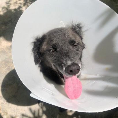 “ถุงเงิน”  ซินเดอเรลล่า 3 ขาที่พิสูจน์ว่ารองเท้า(ขาเทียม)ที่ใช่เปลี่ยนชีวิตจริงๆ